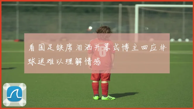 看国足缺席泪洒开幕式博主回应非球迷难以理解情感