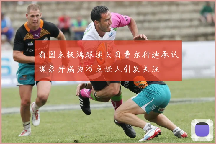 前国米极端球迷头目费尔科迪承认谋杀并成为污点证人引发关注