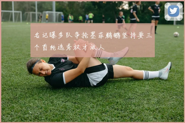 名记曝多队争抢墨菲鹈鹕坚持要三个首轮选秀权才放人