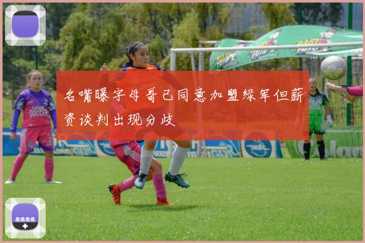 名嘴曝字母哥已同意加盟绿军但薪资谈判出现分歧